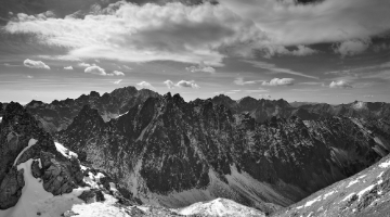 [Group 3]- BGF7988  BGF7989-2 bw i