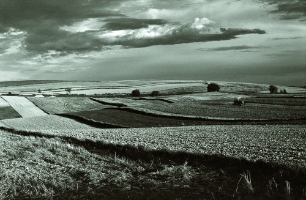 Wygielzow taktor fil